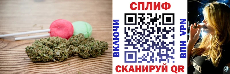 хочу наркоту  Корсаков  блэк спрут зеркало  Cannafood марихуана 