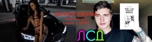дурь Пестово