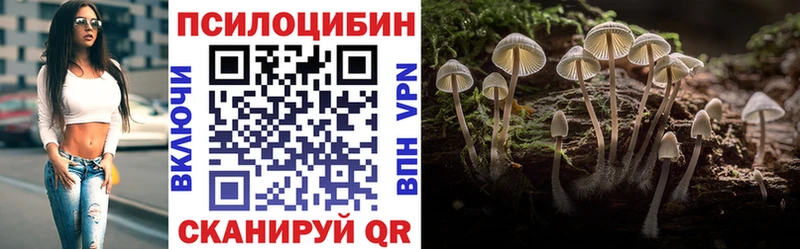 МЕГА Корсаков Галлюциногенные грибы мухоморы